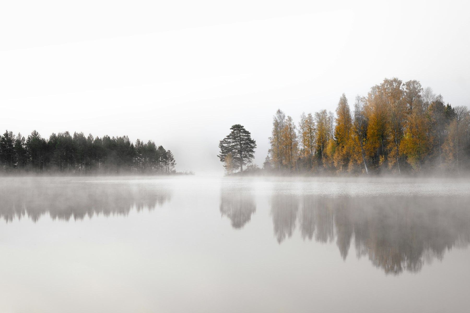 Mist over still water and autumn trees
